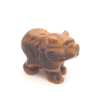 Tiger Eye Bear 7