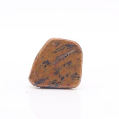 Tiger Tail Jasper 16