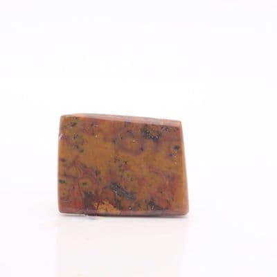 Tiger Tail Jasper 4