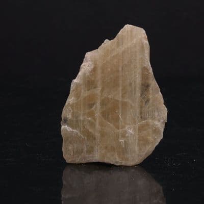 Winchite 11