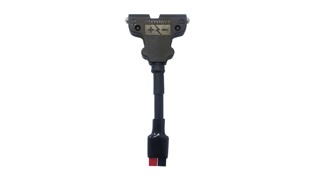 Interconnect/Torberry Charger Converter