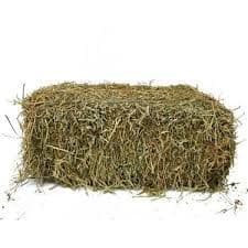 Hay : bales