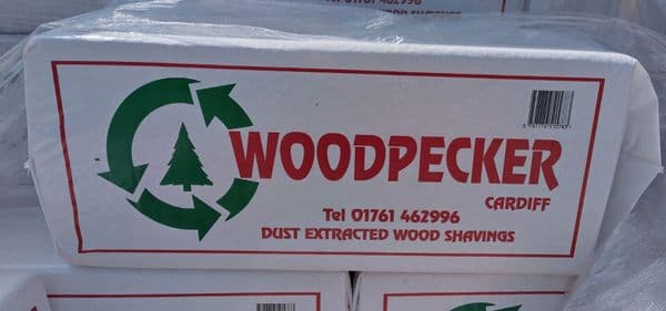 Woodpecker small shavings