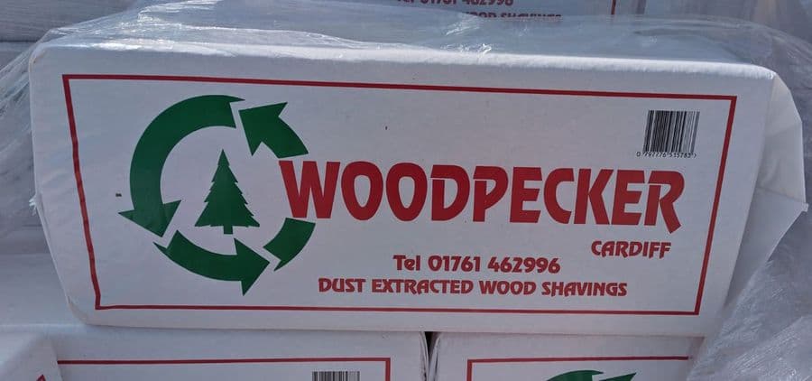 Woodpecker small shavings