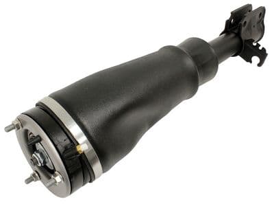 Air Springs With Shock Absorbers