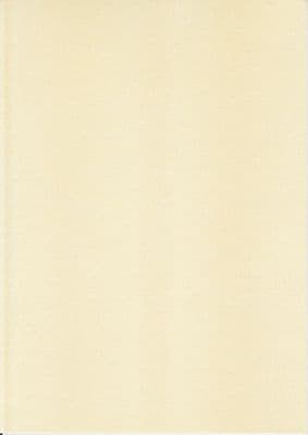 1 A4 SHEET  KANBAN PEARL CARD LEMON