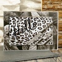 12 Sheets Duo Design 8x8 Paper - Animal Prints & Leaves Hunkydory