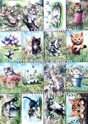 16 A7 Sheets from Cute Cats - Hunkydory Pocket Pad  A7 Sheets