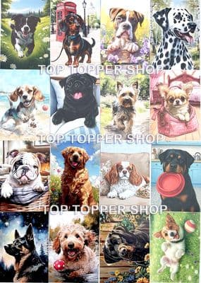16 A7 Sheets from - Dog Days Hunkydory Pocket Pad