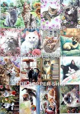 16 A7 Sheets from - Feline Fabulous Hunkydory Pocket Pad