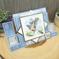 16 Sheets from - Birds in Focus  - Hunkydory  Square Pocket Pad