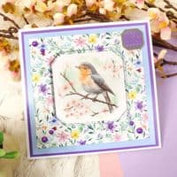 16 Sheets from - Birds in Focus  - Hunkydory  Square Pocket Pad