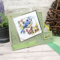 16 Sheets from - Birds in Focus  - Hunkydory  Square Pocket Pad