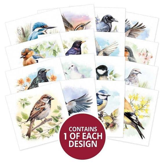 16 Sheets from - Birds in Focus  - Hunkydory  Square Pocket Pad