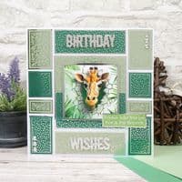 16 Sheets from - Peeping Pals  Hunkydory  Square Pocket Pad