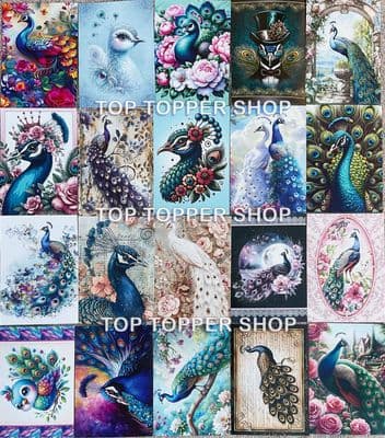 20 A6 Card Toppers from The Hunkydory Little Book of Peacocks