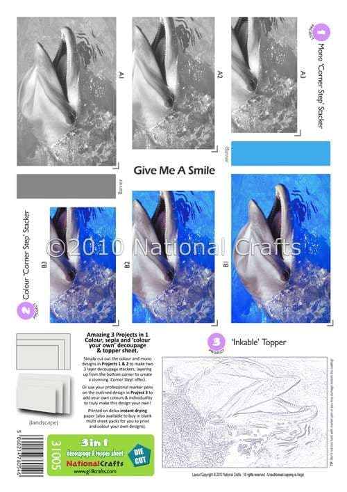 3 in 1 - GIVE ME A SMILE DOLPHIN DIE CUT CORNER STACKERS FROM G18