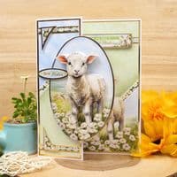 A Baa-rilliant Birthday - Spring is Here Hunkydory Die Cut Decoupage Kit