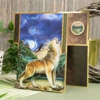 A Wild World - Hunkydory Into The Wild  Deco-Large Kit