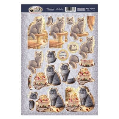 British Shorthair & Blue Persian Cats Hunkydory Decoupage Topper Sheet
