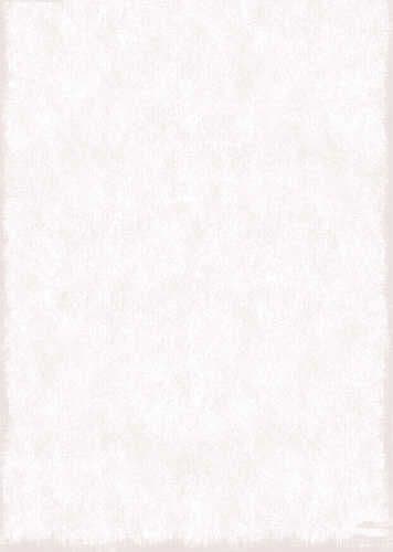 CATRIONA SUBTLE - HOBBY HABIT BACKING PAPER HH0067