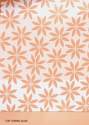 DAISY LATTE  KANBAN A4 DOUBLE VISION CARD