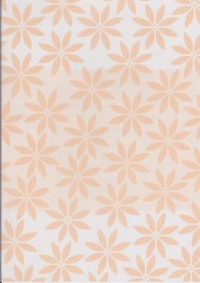 DAISY PEACH LATTE A4 VELLUM PAPER KANBAN