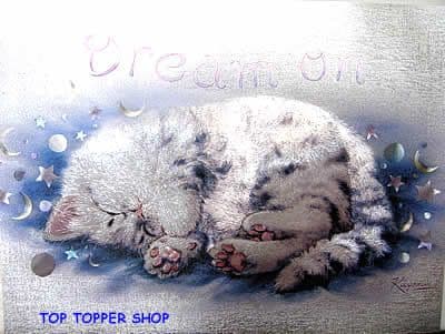 DREAM ON KITTEN DUFEX FOIL PRINT 8.2