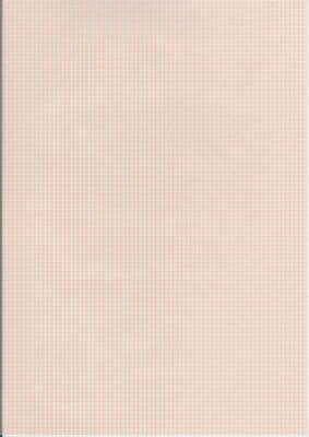 GINGHAM PEACH A4 VELLUM PAPER KANBAN