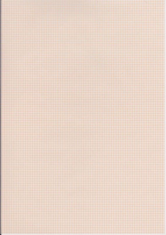 GINGHAM PEACH A4 VELLUM PAPER KANBAN