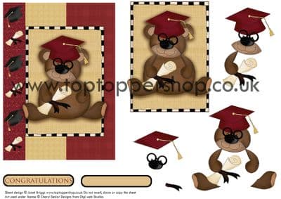 Graduation Bear Card Front And Decoupage Printed Sheet 503cs