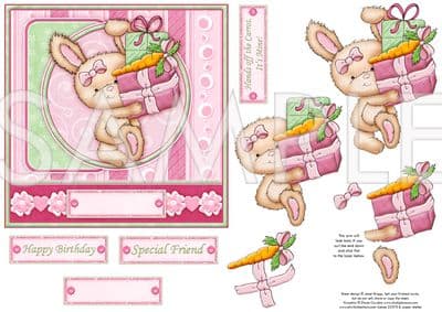 Hands Off The Carrot! Birthday Topper & Decoupage Printed Sheet 560dd