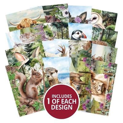 Highland Wildlife 16 A7 Sheets from Hunkydory  Pocket Pad