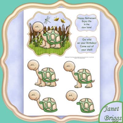 LIFE IN THE SLOW LANE Decoupage Printed sheet sb392