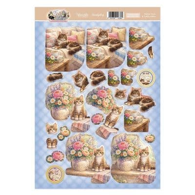 Maine Coon & Tabby Kitten Hunkydory Decoupage Topper Sheet