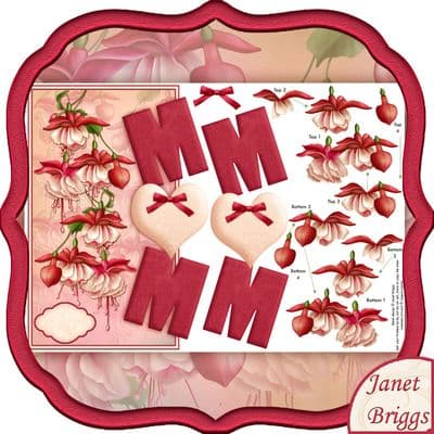Mum & Fuchsias Over The Side Card Printed Sheet Jw507