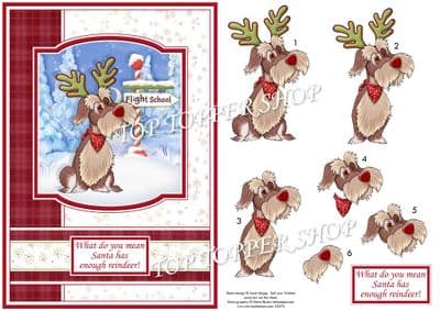 Reindeer Training A5 Christmas  Card Topper & Decoupage printed sheet TTSJB17