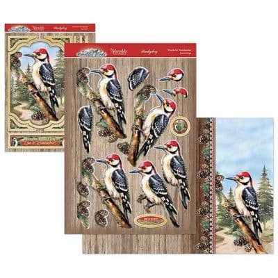 Wonderful Woodpecker - Beautiful Birds Hunkydory Die Cut Decoupage Kit