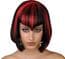 Bloodlust Vamp Plus Size Halloween Costume  (HF5097)