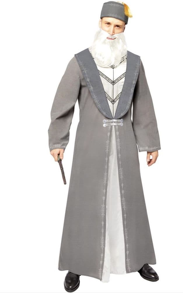 Dumbledore Plus Size Costume plus size Dumbledore costume