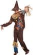 Wizard of Oz Scarecrow XL Costume