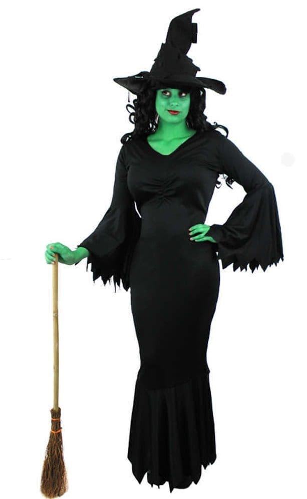 Wicked Witch Plus size Halloween Costume, plus size Halloween fancy