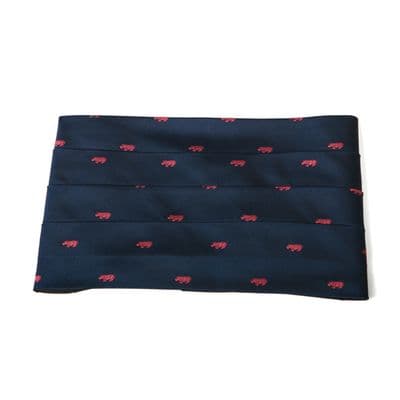 City Silk Cummerbund