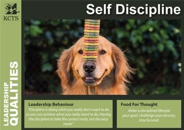 Leadership Qualities Posters