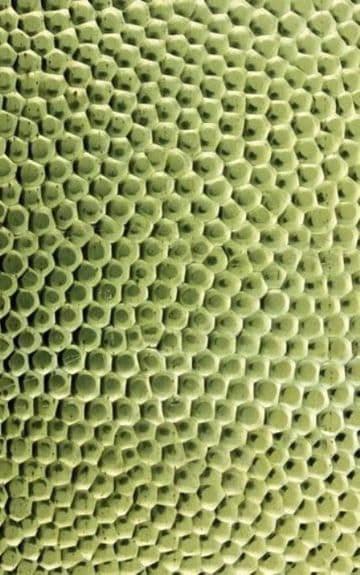 Brass Texture Plate Cobbles