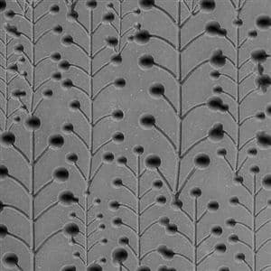 Texture Mat - Baby's Breath Embossed