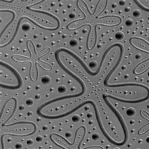 Texture Mat - Cosmic Starfish Embossed