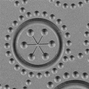 Texture Mat - Cute as a Button Embossed