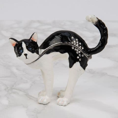 Black & White Cat Trinket Box - Treasured Trinkets Collectable Jewellery Box