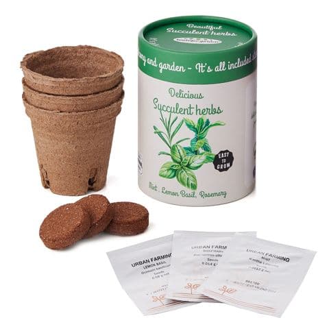 Boutique Garden Grow Your Own Herbs Gift Set
